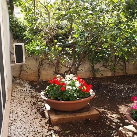 House * Bari